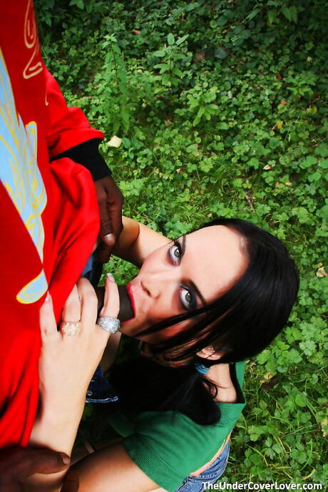 The Undercover Lover picture collection featuring Elizabeth Lawrence in dick in pussy scene